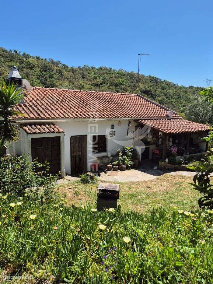 Monte Alentejano em Fonte Boa de Baixo - Grande imagem: 4/21