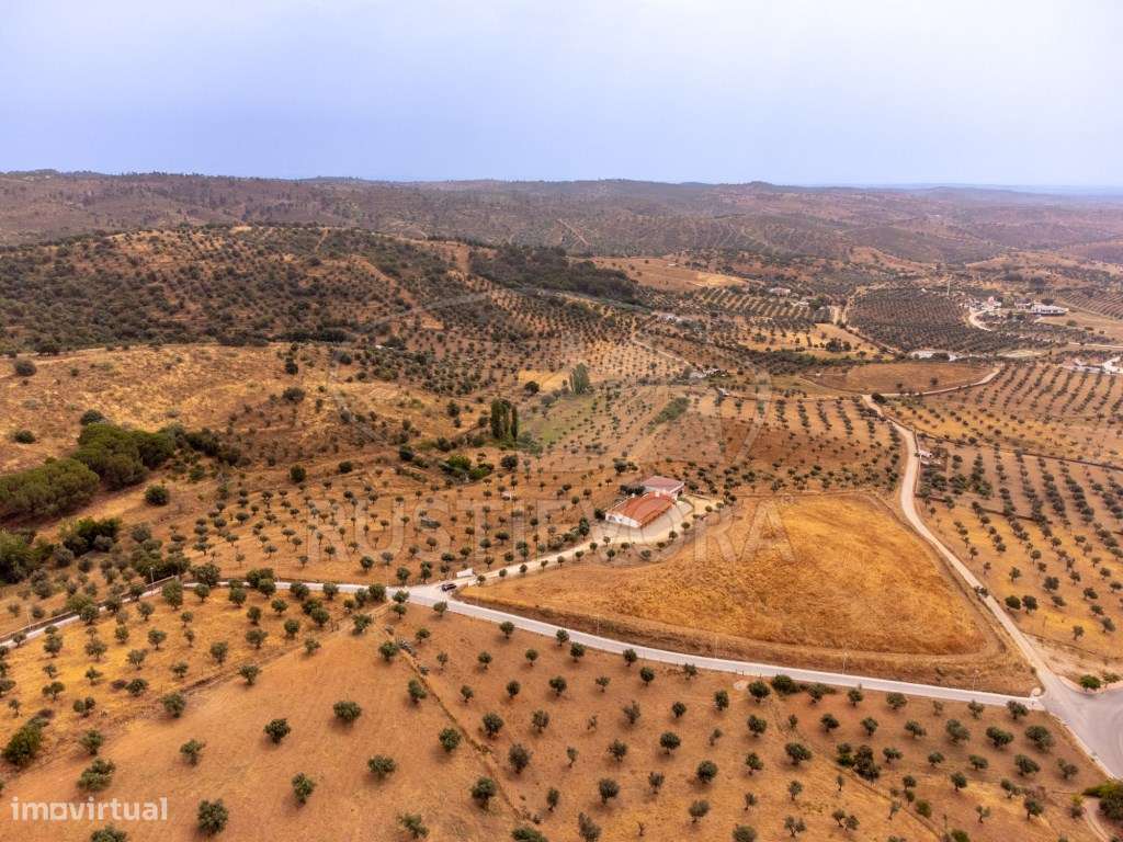Quinta em Portel - 4,3 Ha de Tradição e Conforto-37