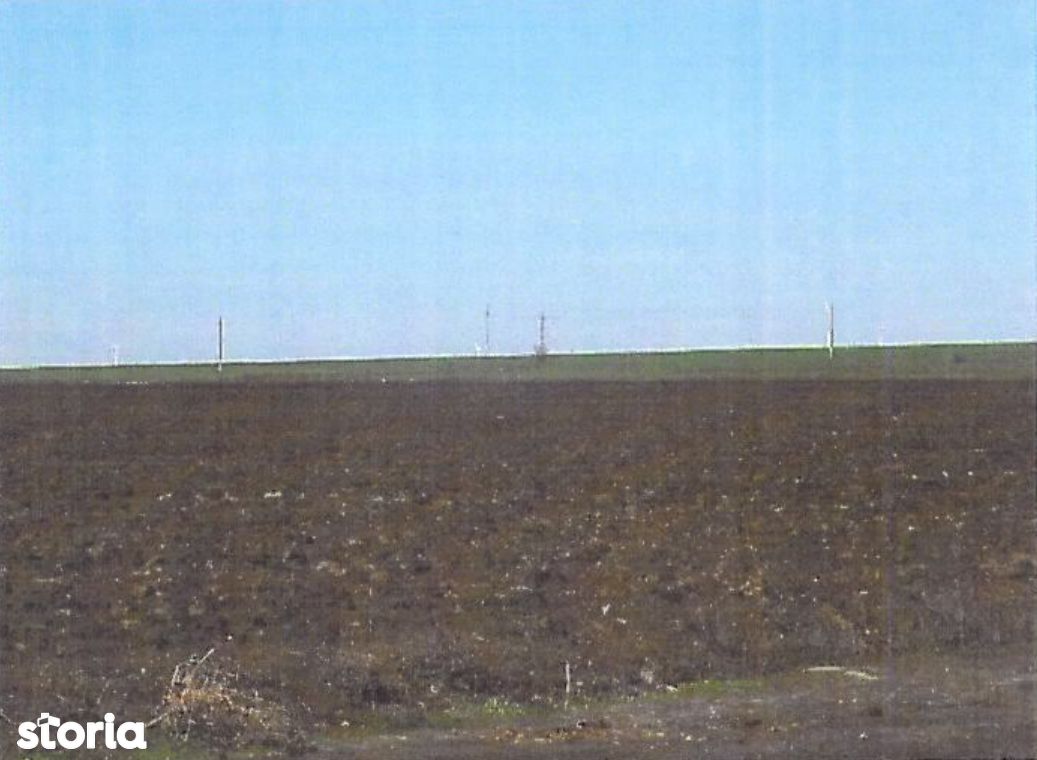 Teren extravilan agricol de 5000 mp in Dorobantu Nicolae Balcescu