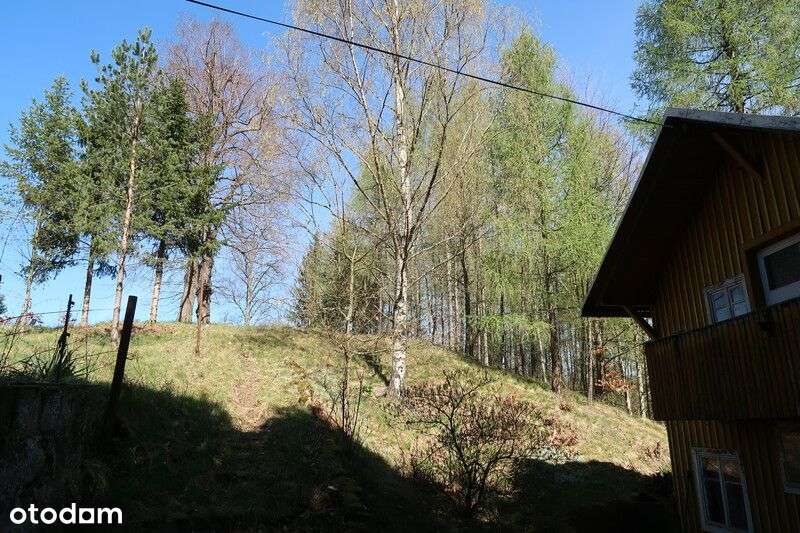 Janowice Wlk. Mały dom 3 pok. 65 m2-6