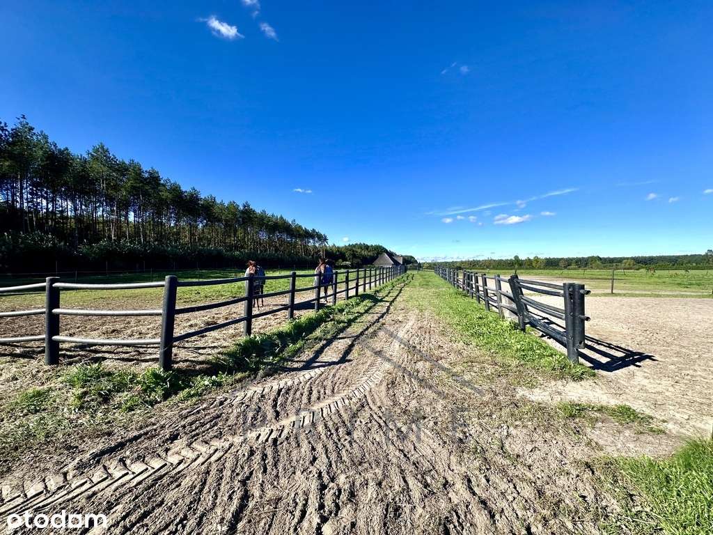 Wyjątkowa nieruchomość/Hodowla Koni/Agroturystyka - Pełny obrazek: 5/16