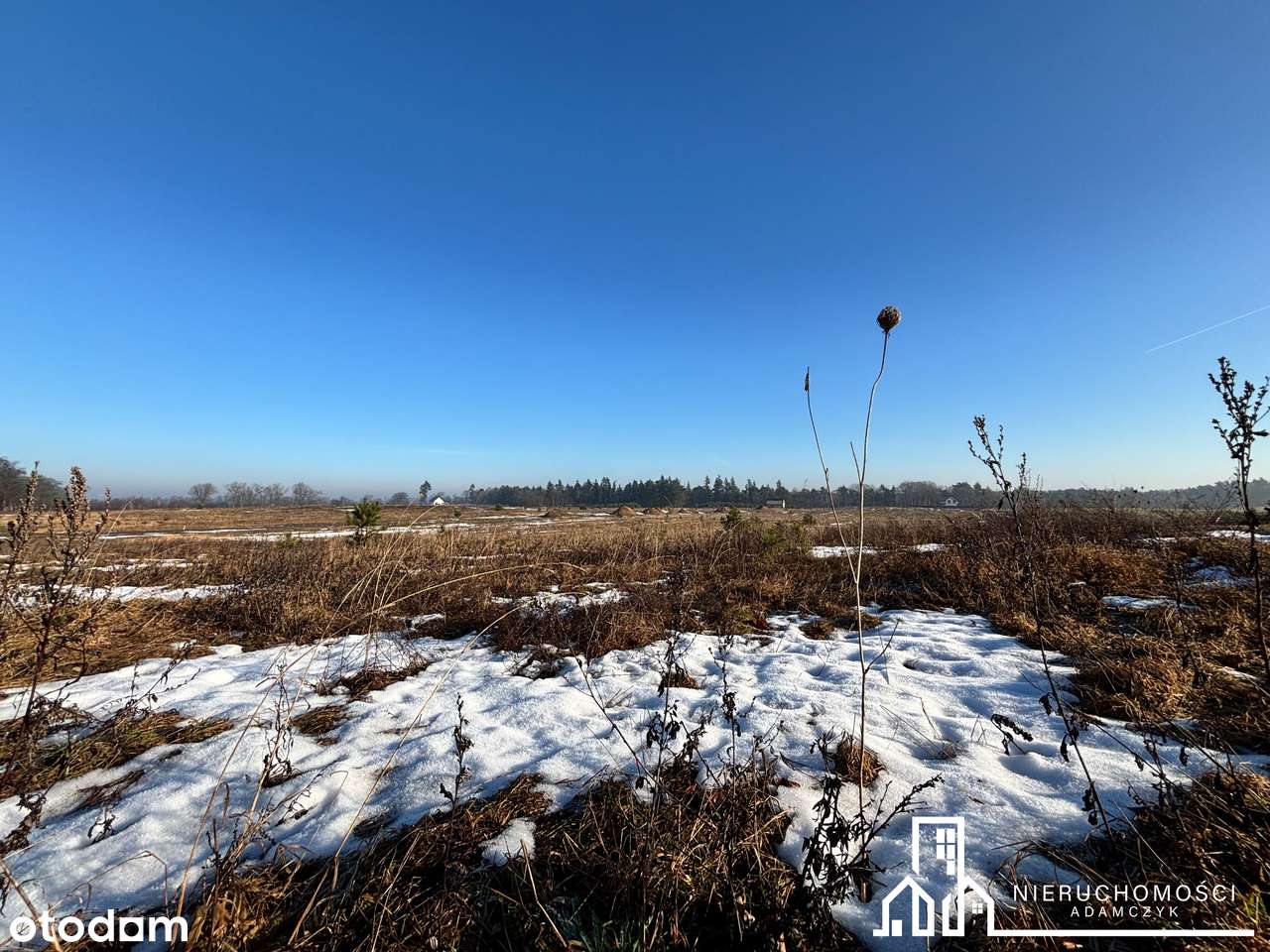 Okazja! Działki budowlane w Dzikach z planem zagospodarowania - Pełny obrazek: 5/10