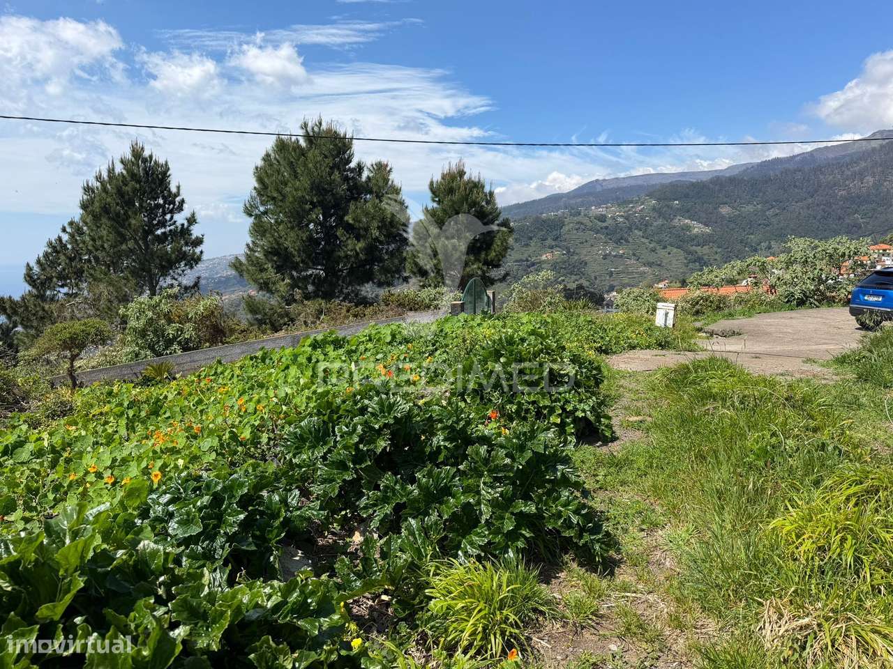 Terreno Urbanizável em São João Ribeira Brava - Grande imagem: 4/9