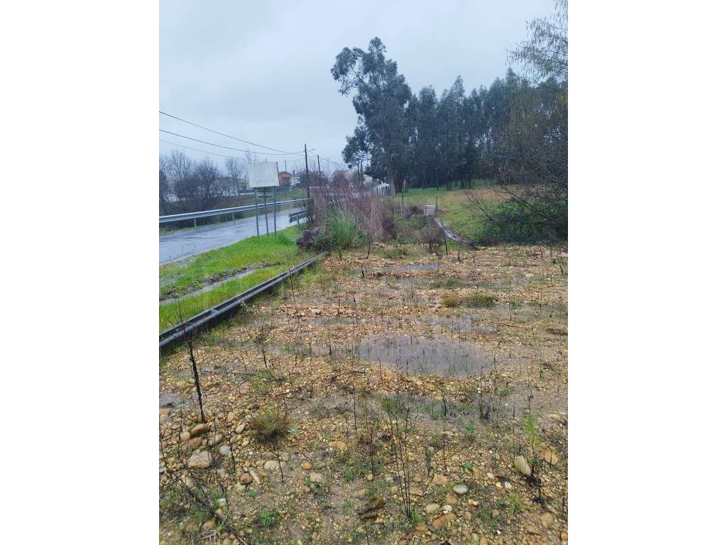 Terreno com projeto do Armazém - Gandra, Valença - Grande imagem: 5/7