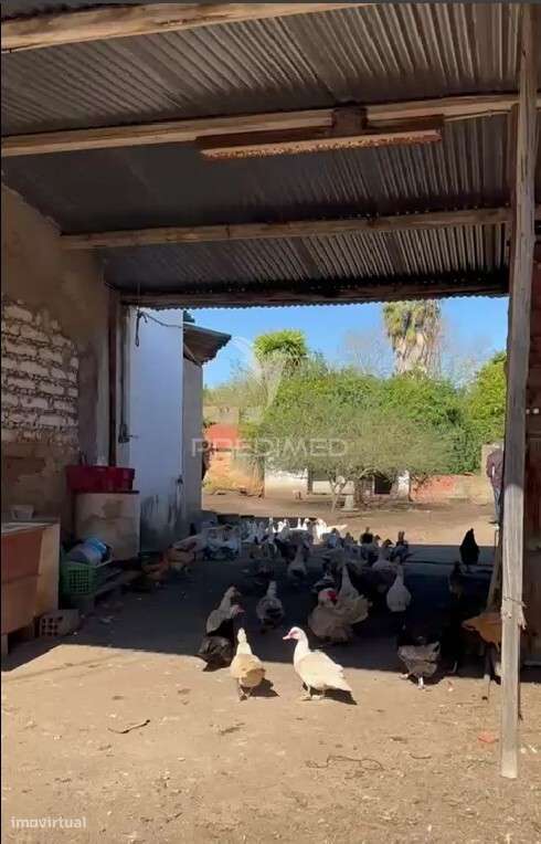 Terreno em Arrouquelas, Rio Maior - Grande imagem: 5/6