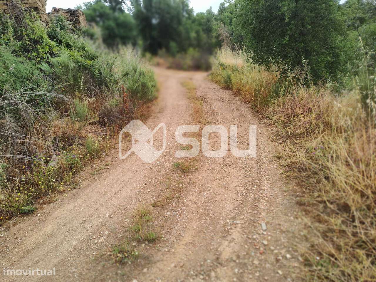 Terreno com 12ha em Mirandela - Grande imagem: 5/19