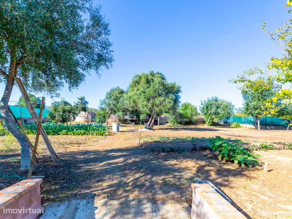 Casa Típica Privada T2 com jardim em Moncarapacho-3