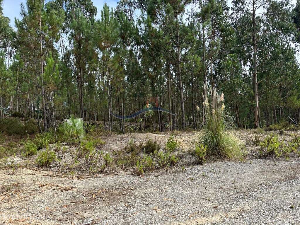 Terreno - Monte Real - Grande imagem: 4/13