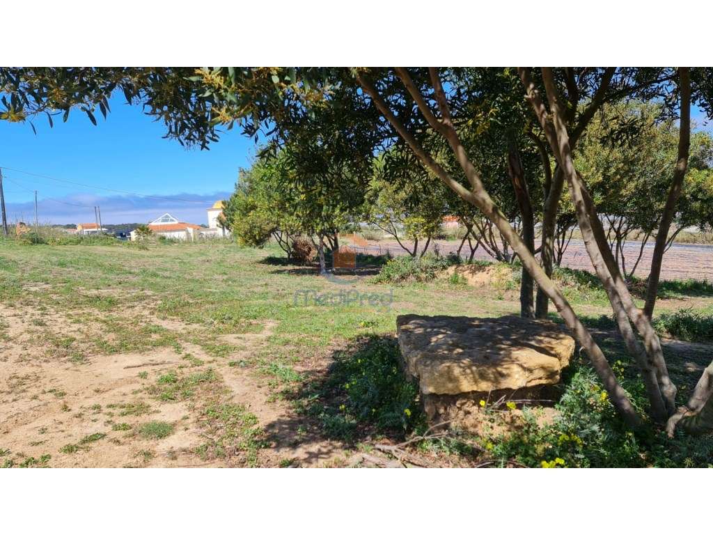 Terreno rústico em Póvoa de Penafirme com VISTA DE MAR! - Grande imagem: 4/4