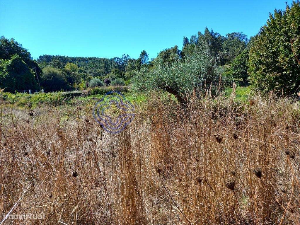 Terreno agrícola com uma ribeira a 10 minutos de Dornes-7