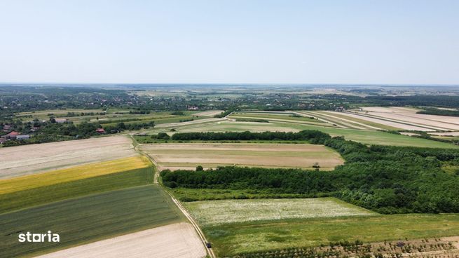 Teren de vanzare - 15.740 mp | Priveliste superba-7