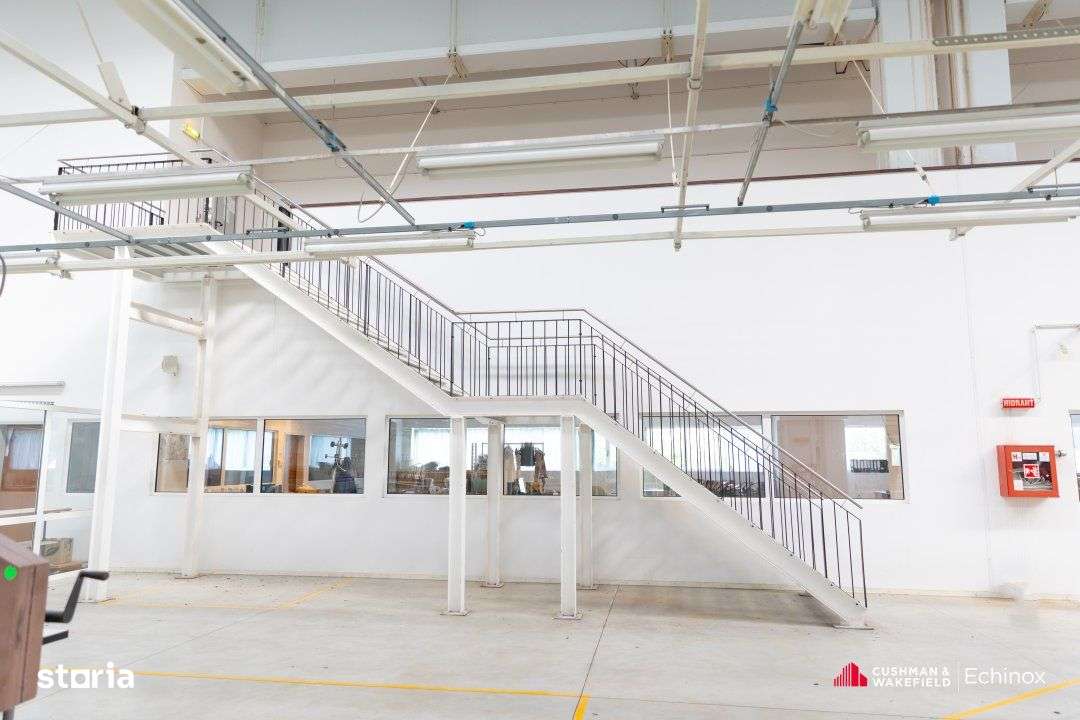 Timișoara - Depozit și birouri de vânzare-7