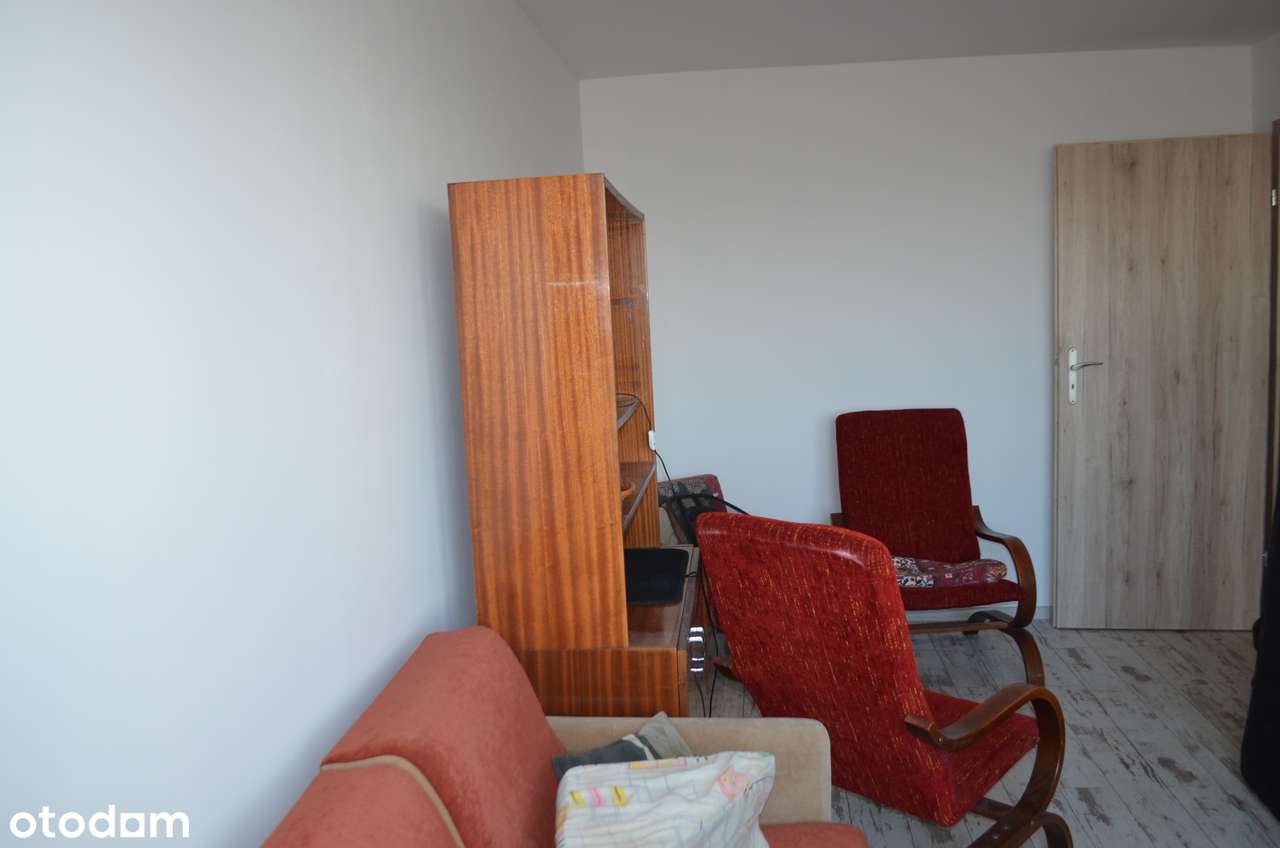 Wynajmiemy rodzinne  mieszkanie - Pełny obrazek: 5/13