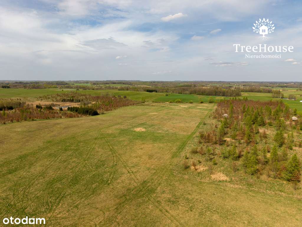 Grunty orne, Dwórzno, Górowo Iławeckie. - Pełny obrazek: 5/15