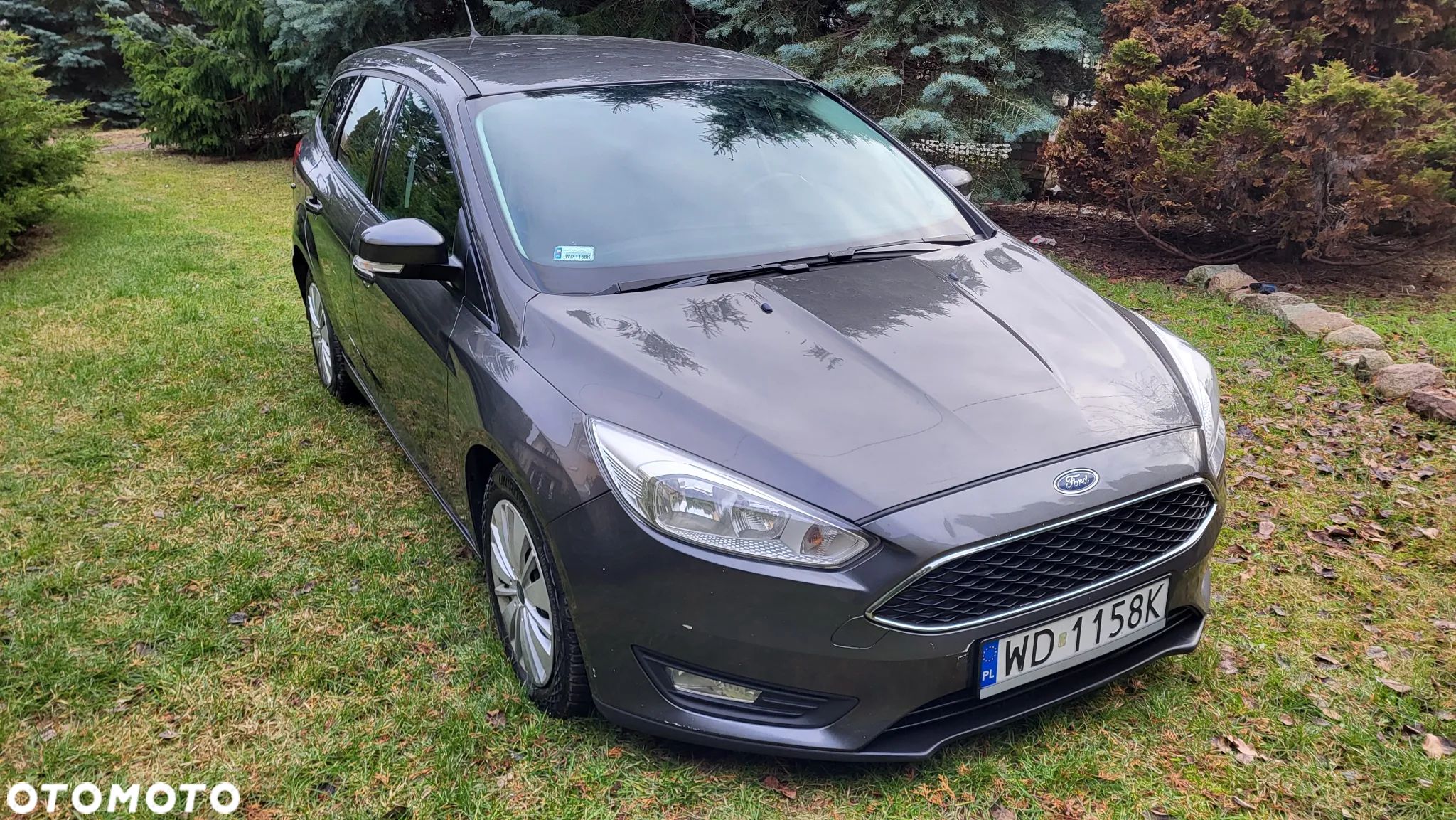 Ford Focus 1.6 TDCi Edition - 1