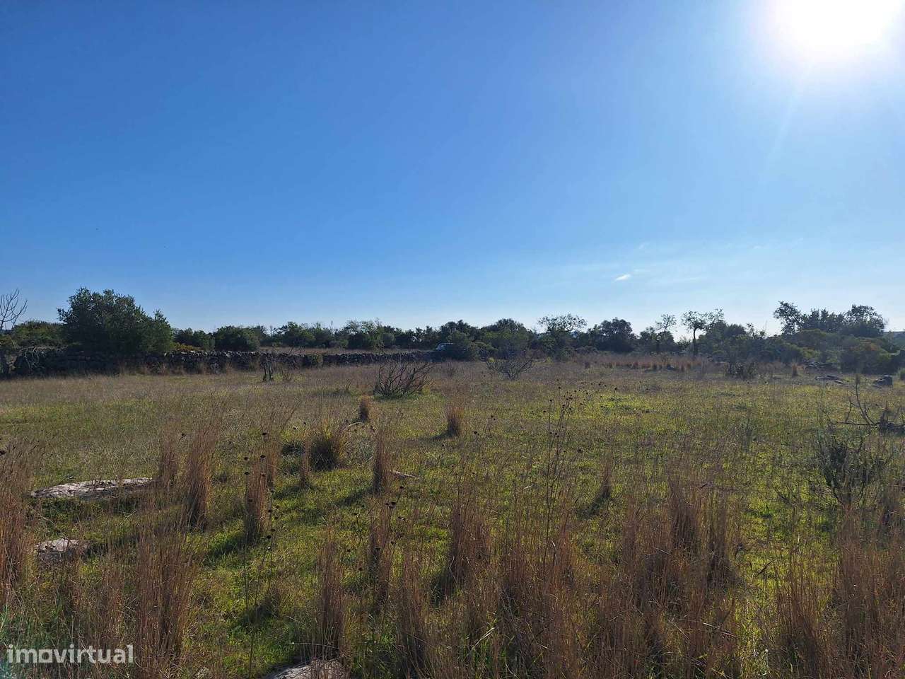 Terreno Rústico no Sítio do Laranjeiro de Santa Catarina da Fonte d...-16