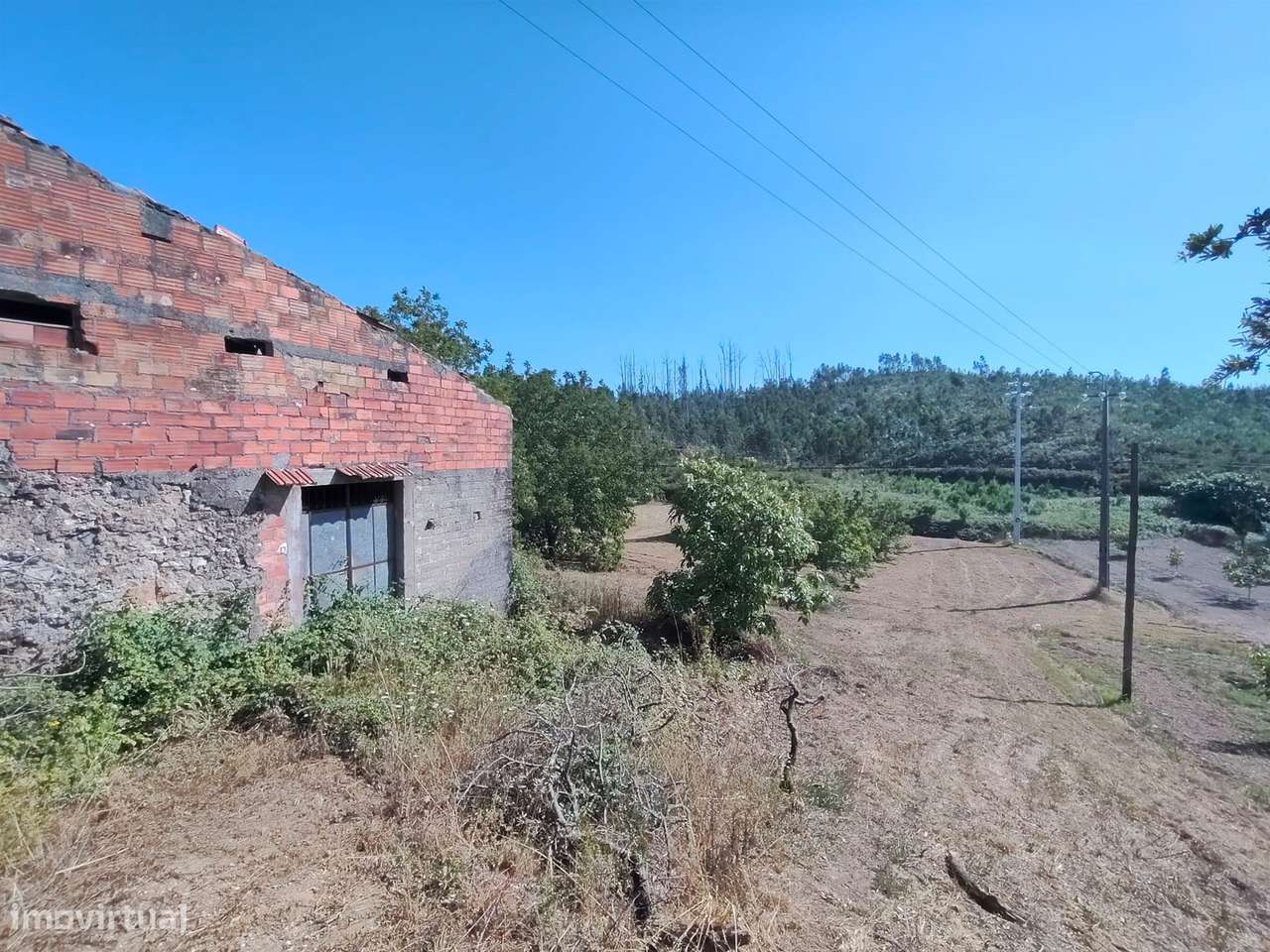 Moradia / Terreno / Poço / Colmeias / Leiria-3