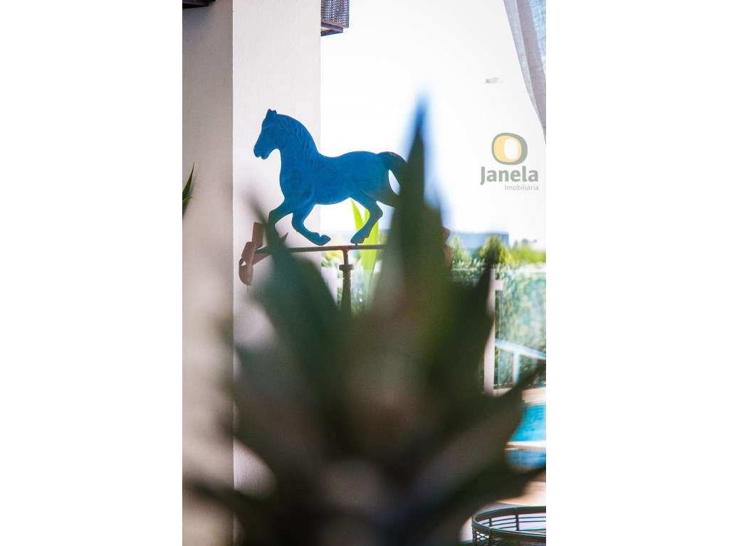 Herdade com 4,8 hectares, picadeiros, paddock CAVALOS e moradia ide... - Grande imagem: 5/33