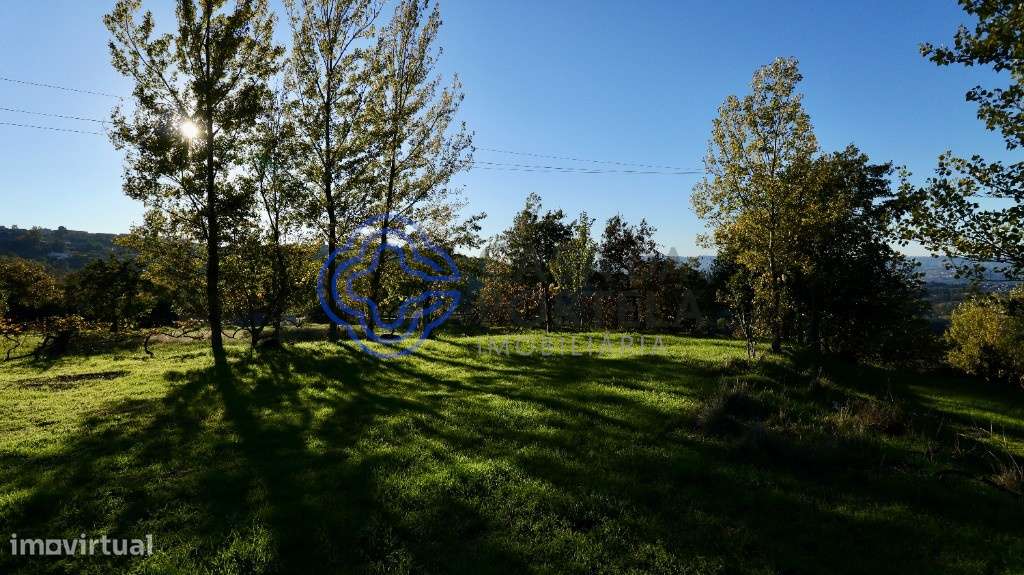 Terreno Agrícola em Telhe - Soalhães - Marco de Canaveses - Grande imagem: 5/10
