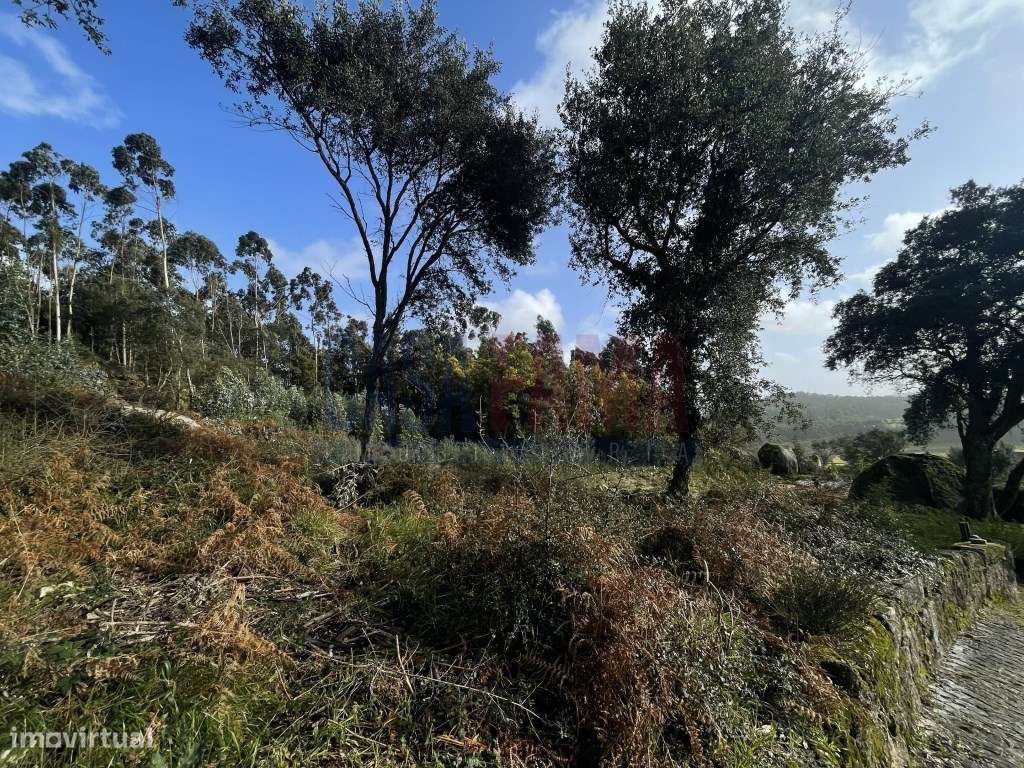Terreno para Venda Centro de Grimancelos, Barcelos - Grande imagem: 4/26
