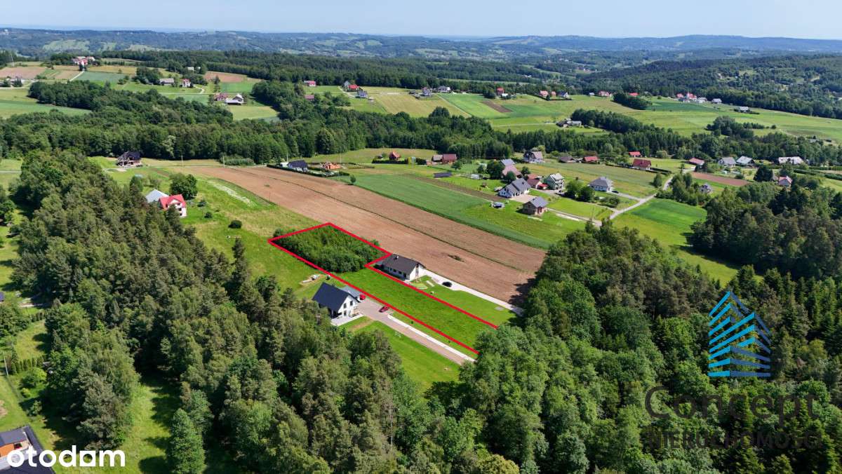 Lipnica Górna - działka budowlana 34 ary-4