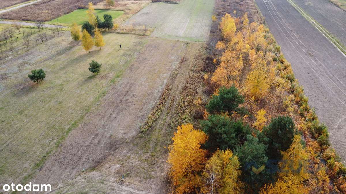 Działka Budowlana I Wśród Zieleni I 1735 m2 - Pełny obrazek: 4/9