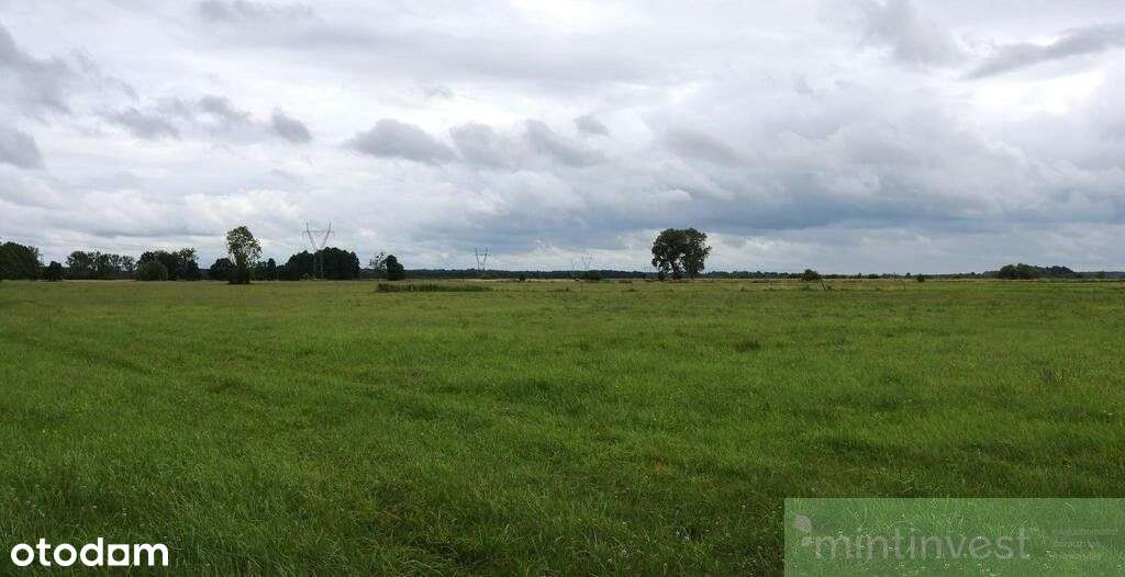 Działka rolna w Żarnowie 3,31 ha, gmina Stepnica-4