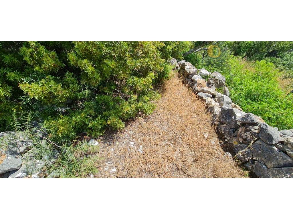 Ruina em terreno de 30400 m2 perto de S. Brás de Alportel - Grande imagem: 3/22