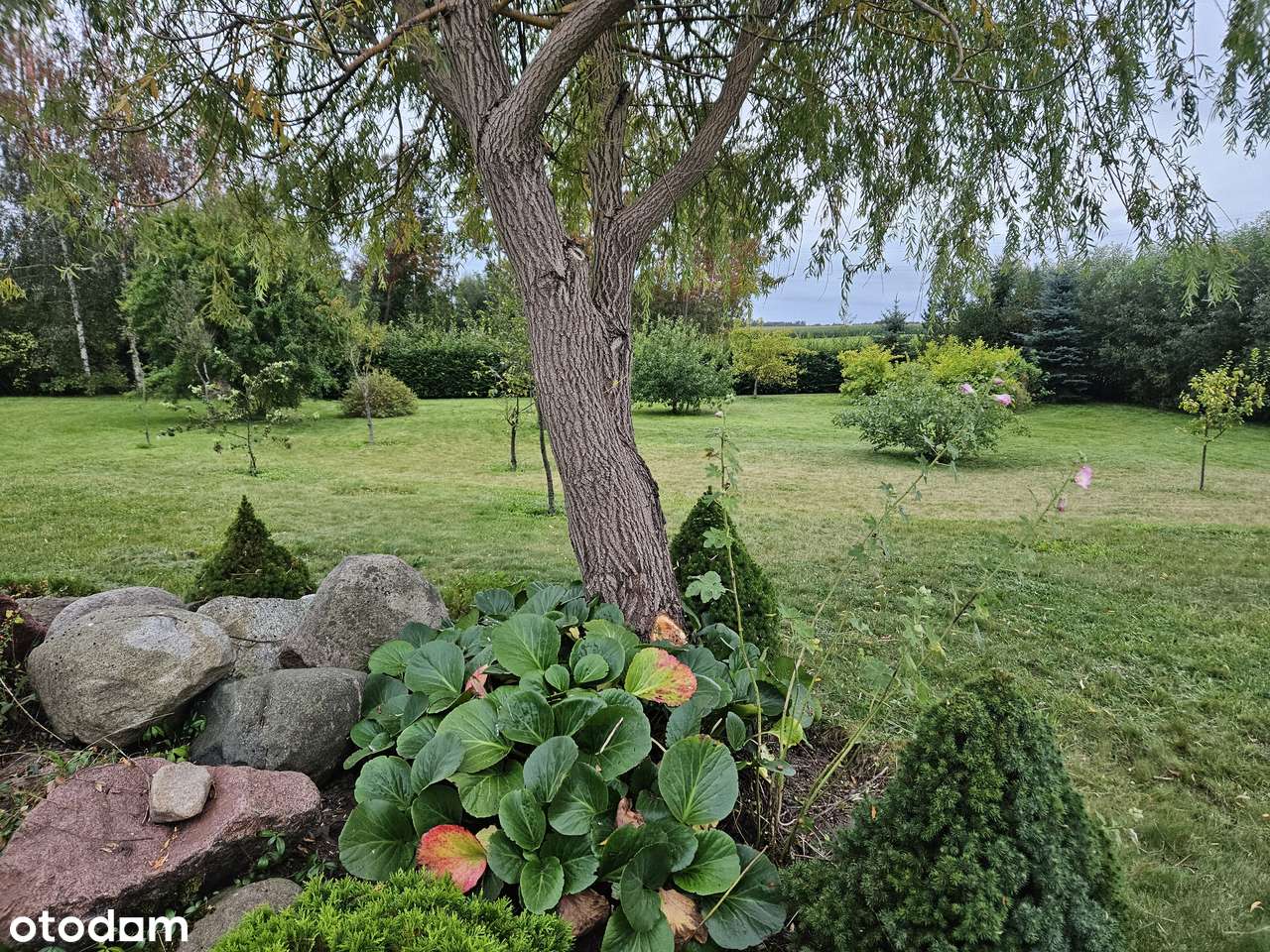 Dom + bud.gosp. z kuchnią i tarasem 12km od Suwałk, działka 5200m2 - Pełny obrazek: 5/20