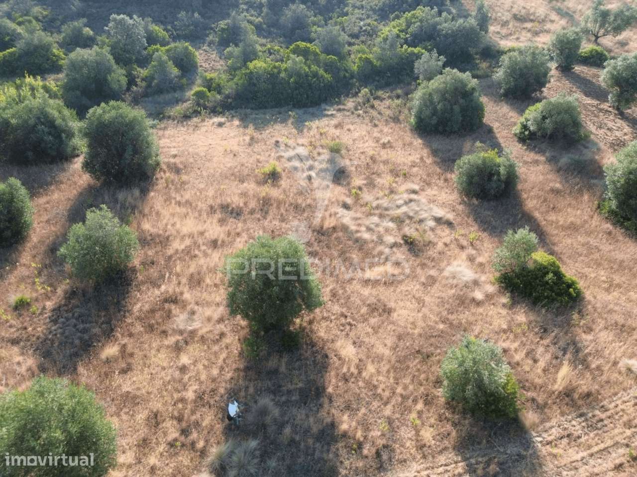 Terreno Rústico com 3.340 m² – Troviscal, Alcanena - Grande imagem: 3/24