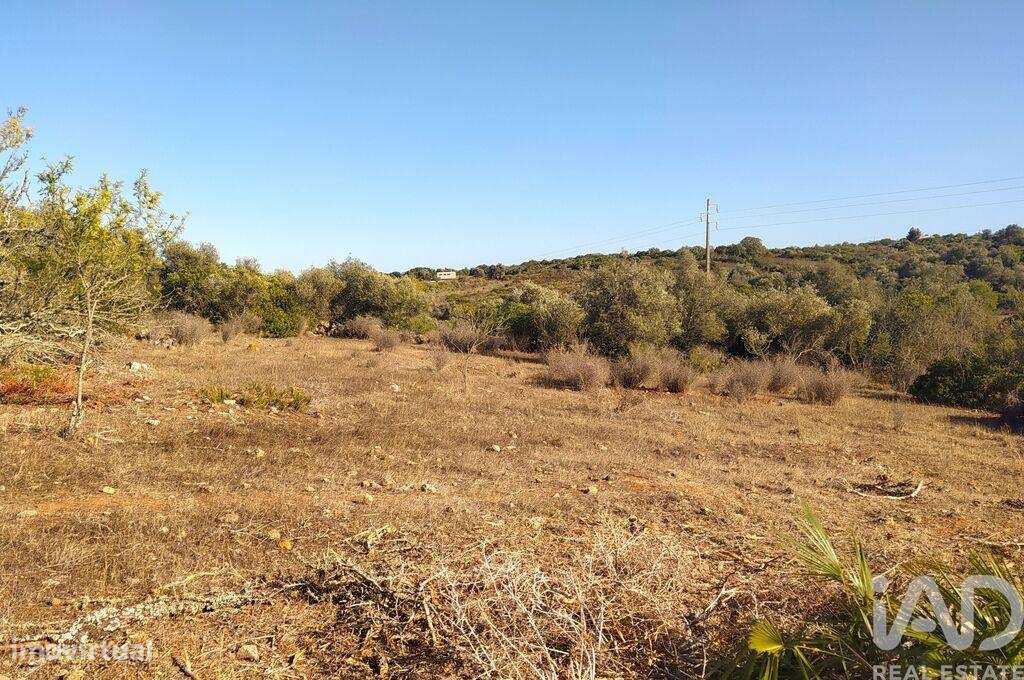 Terreno de Lazer em Bensafrim e Barão de São João de 6240,00 m2 - Grande imagem: 2/11