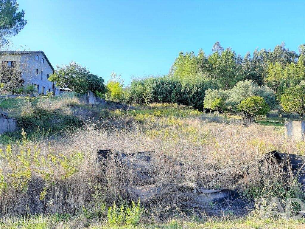Terreno para construção em Antuzede e Vil de Matos - Grande imagem: 3/6