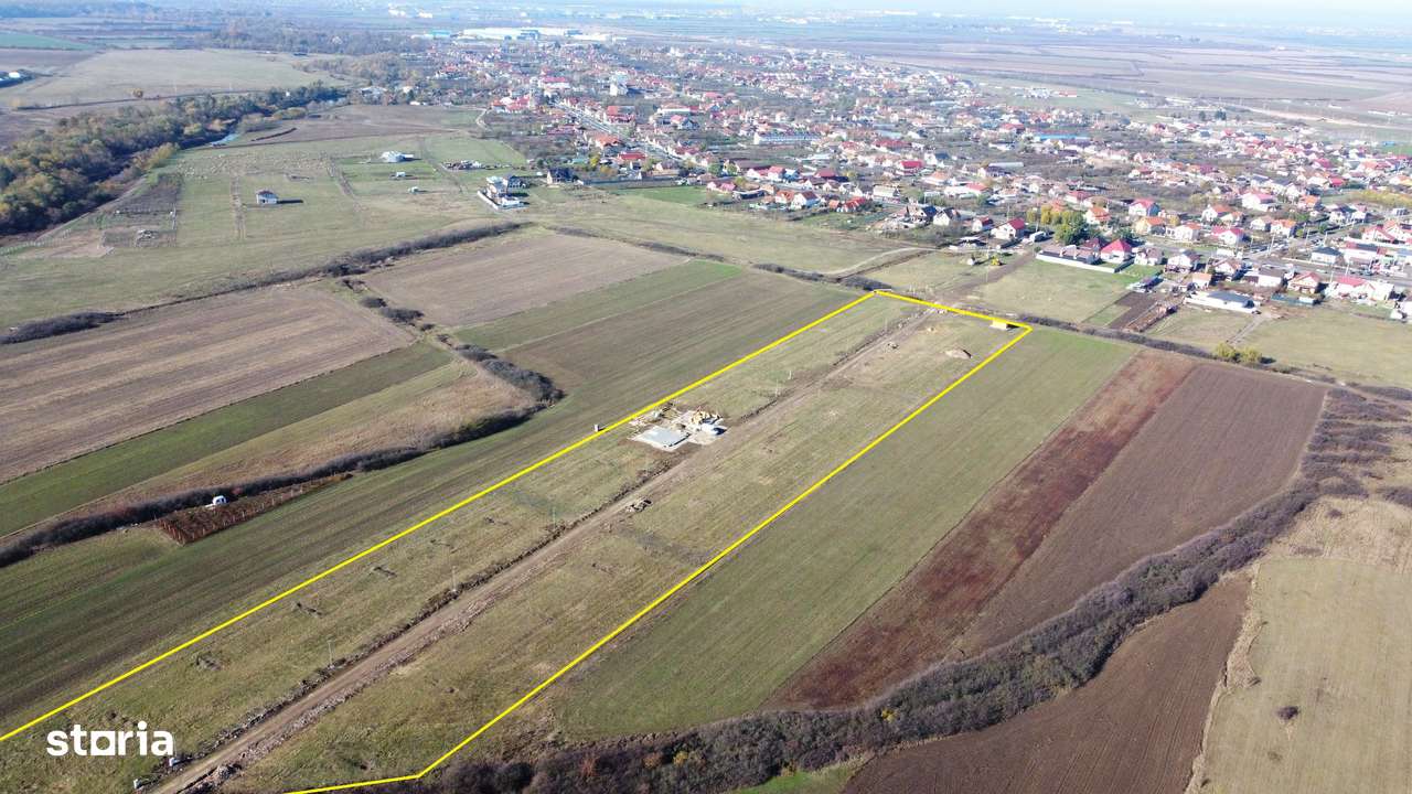 Terenuri Remetea Mare, cu toate utilitatile garantate - 69euro/mp+TVA-11