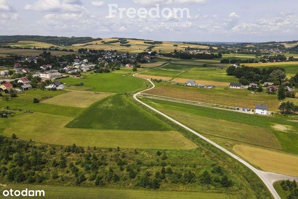 Działka 21,49 ar | Wz | 30min do Rzeszowa - Pełny obrazek: 5/13