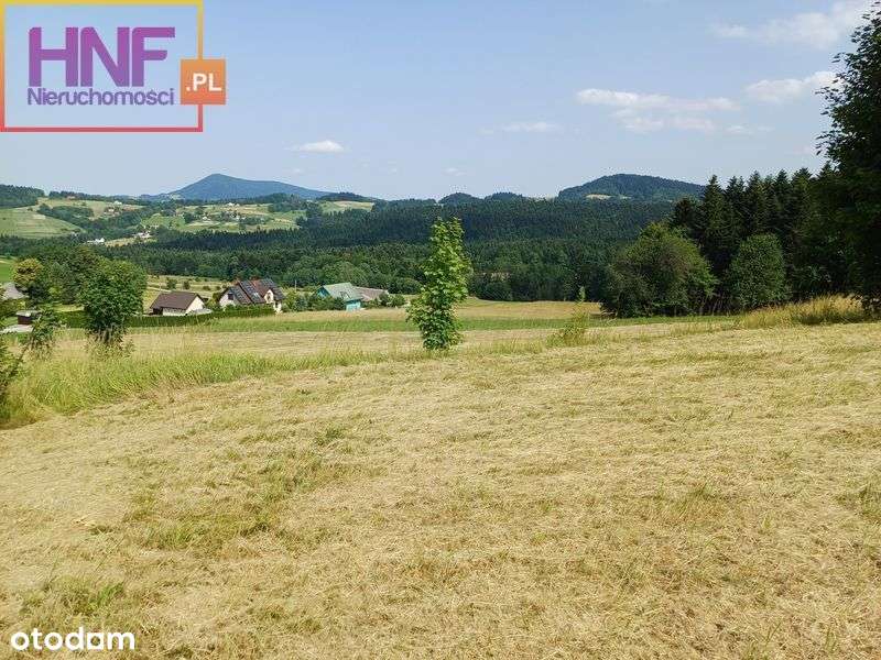 Działka budowlana Ptaszkowa 66ar - Pełny obrazek: 5/15