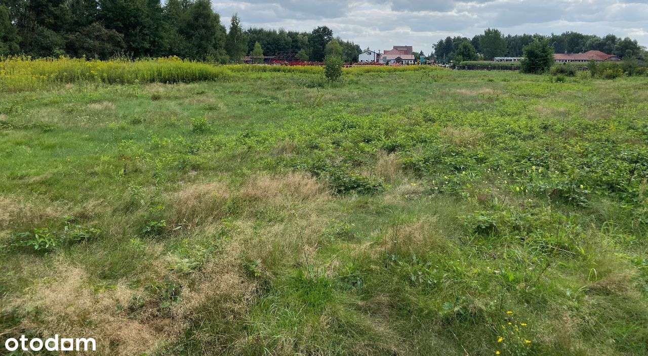 Sprzedam nieruchomość inwestycyjną - Pełny obrazek: 4/6