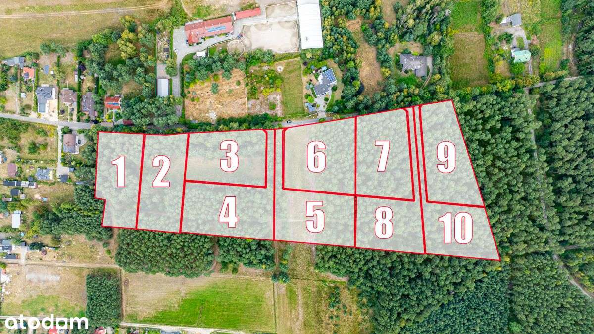 Twoja prywatna oaza w lesie - Pełny obrazek: 4/8