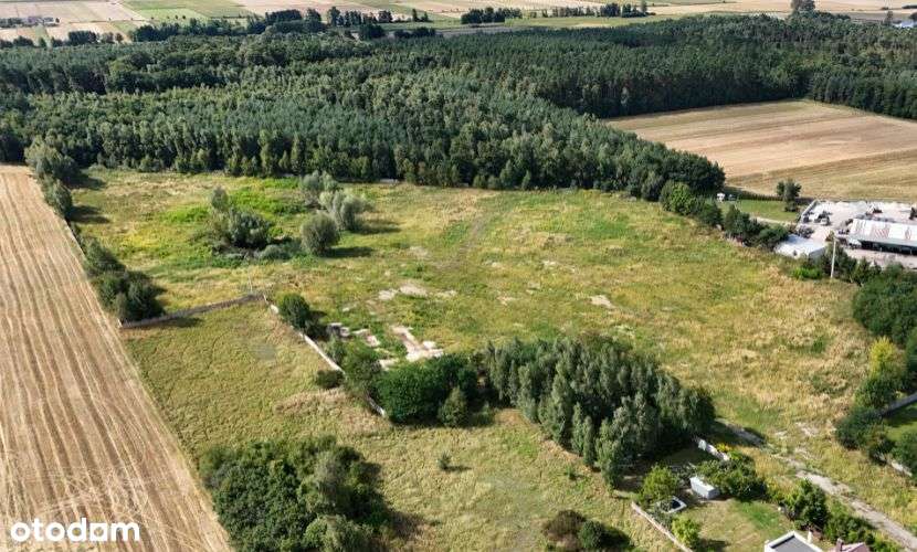Osiedle działek pod lasem w Biskupicach Ołobocznych Ostrów WLKP Kalisz - Pełny obrazek: 2/9