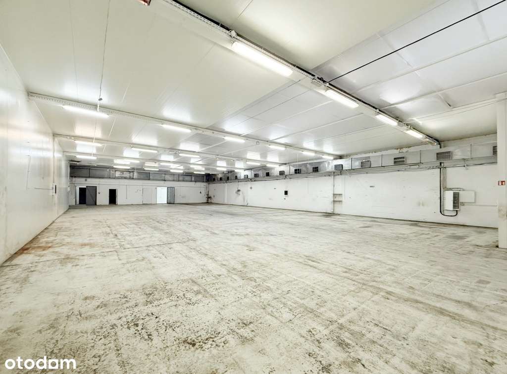 Hala produkcyjno-magazynowa z placem - Pełny obrazek: 2/7