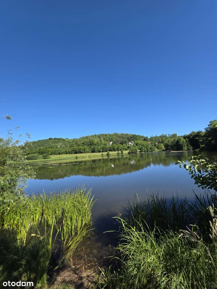 Doskonała Inwestycja,  stawy, grunty , młyn - Pełny obrazek: 5/6