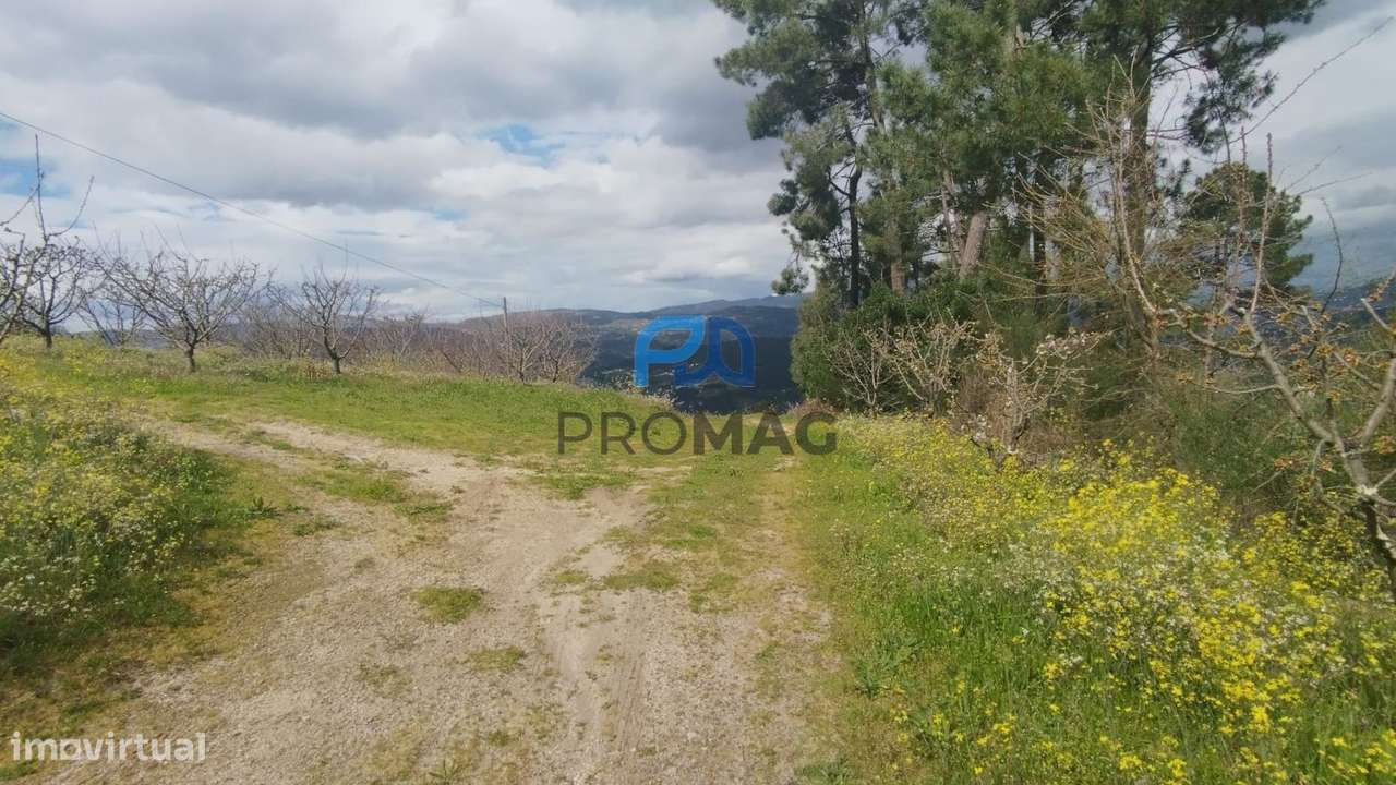 Terreno Urbanizável de 7959 m² com Armazém-27