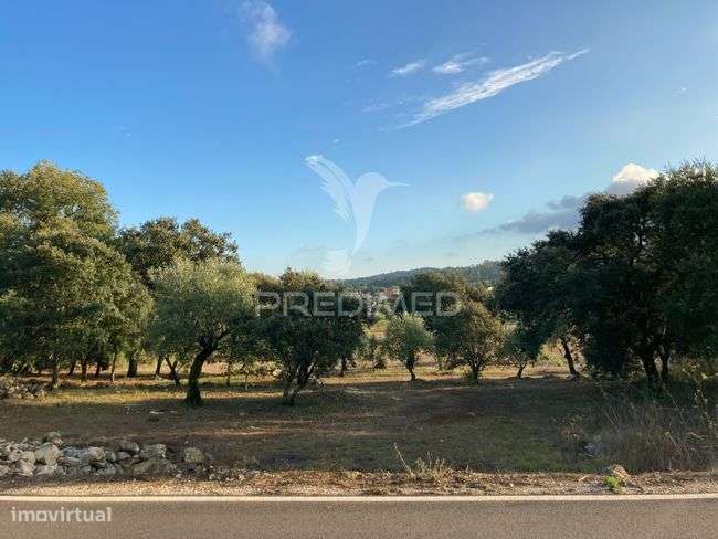 Terreno para construção em Aljustrel muito proximo a Fátima. - Grande imagem: 5/10