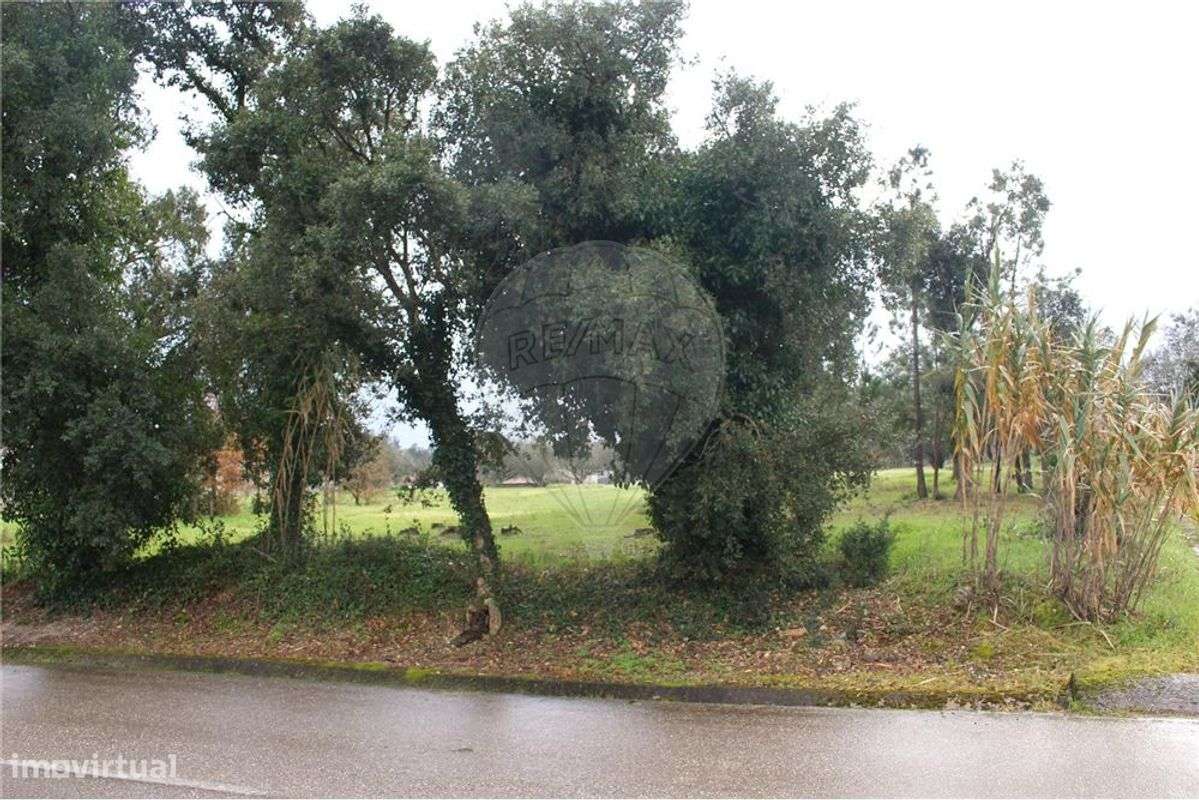 Terreno  para venda - Grande imagem: 4/12