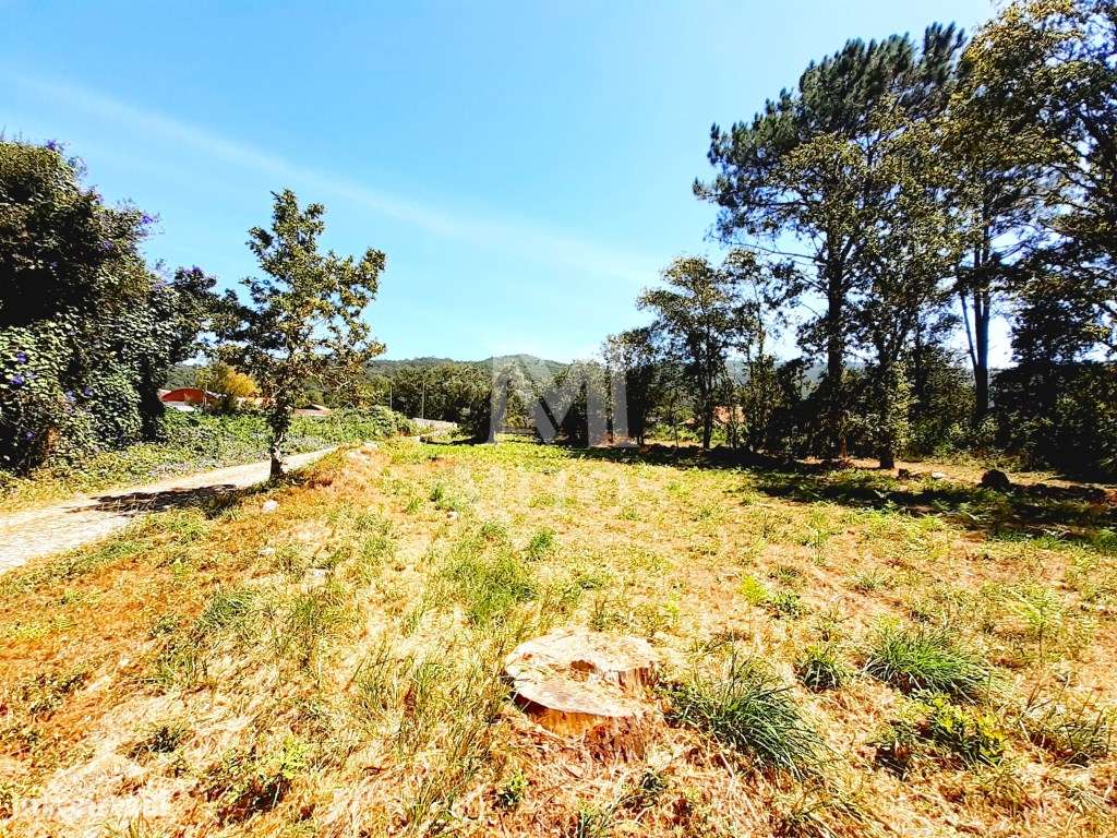 Terreno para construção em Afife - Grande imagem: 2/10