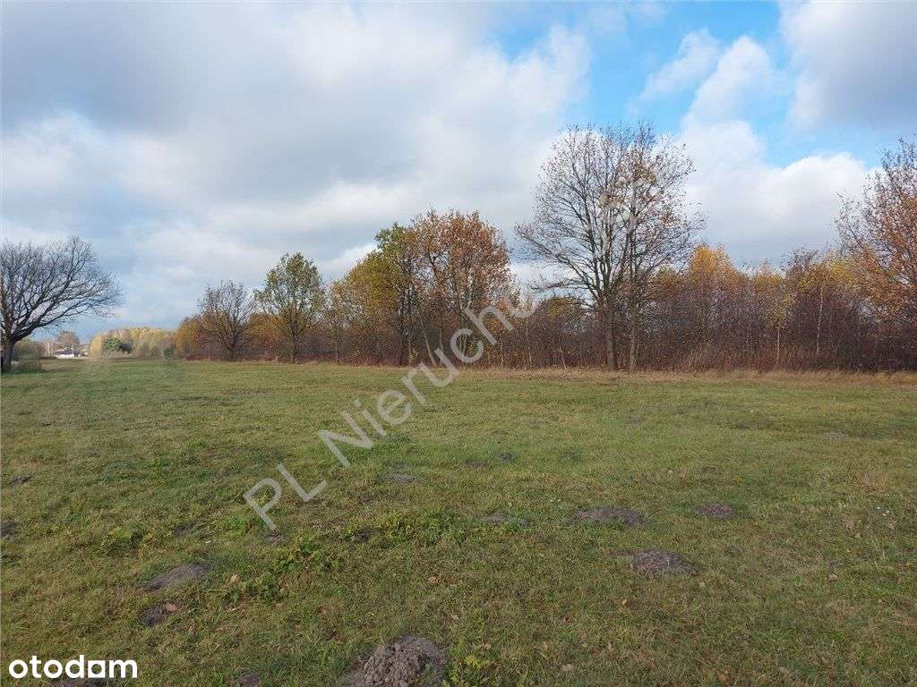 Działka Z Wieloma Możliwościami. - Pełny obrazek: 5/12