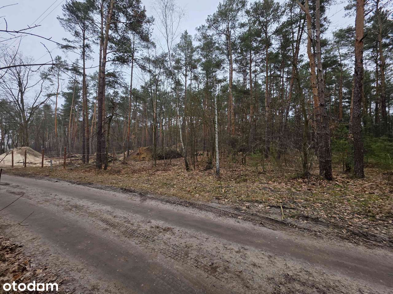 NAJLEPSZA LOKALIZACJA W IDEALNYM OTOCZENIU - Pełny obrazek: 4/4