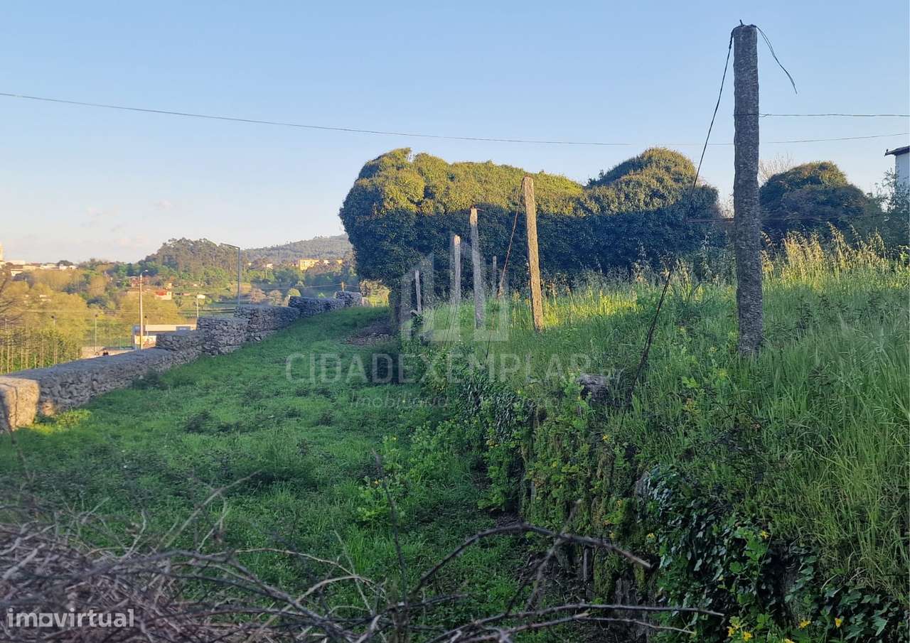 Terreno e Casa em Ruínas para Construção – Irivo, Penafiel-13