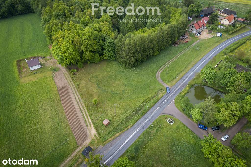 Duża działka Barty, Zalewo - Pełny obrazek: 4/7