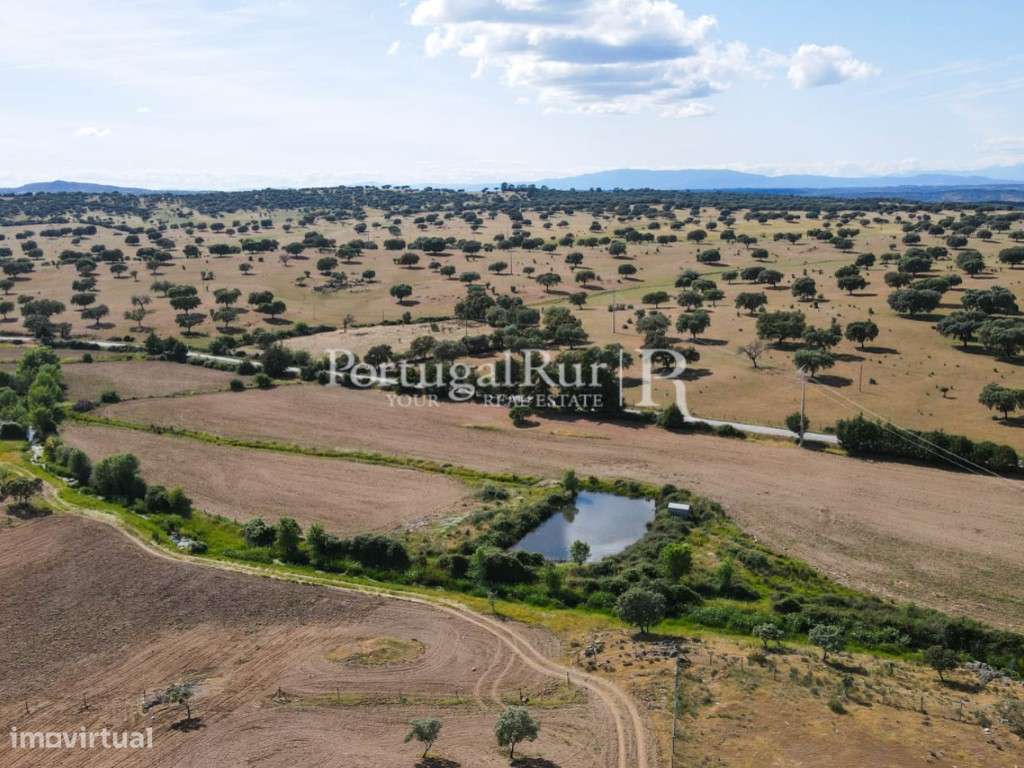Herdade com 72 ha com possibilidade para regadio na região de Caste... - Grande imagem: 4/46