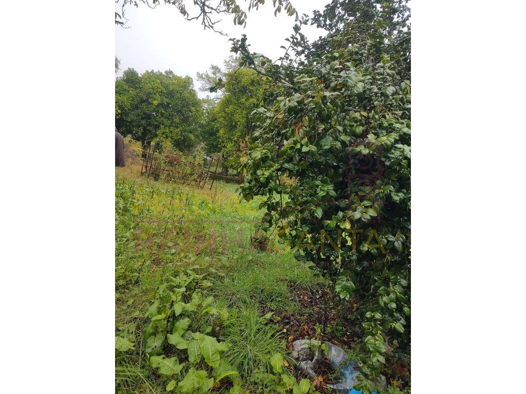 3 terrenos rústicos na totalidade tem 3628 m2 - Grande imagem: 4/14